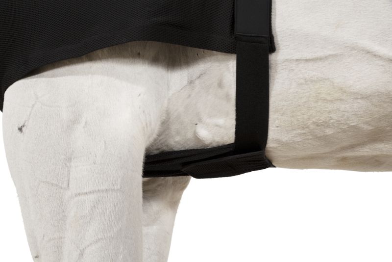 Pikeur DYNAIRMESH BRUSTSCHUTZ 50% Rabatt mit kostenlosem Versand