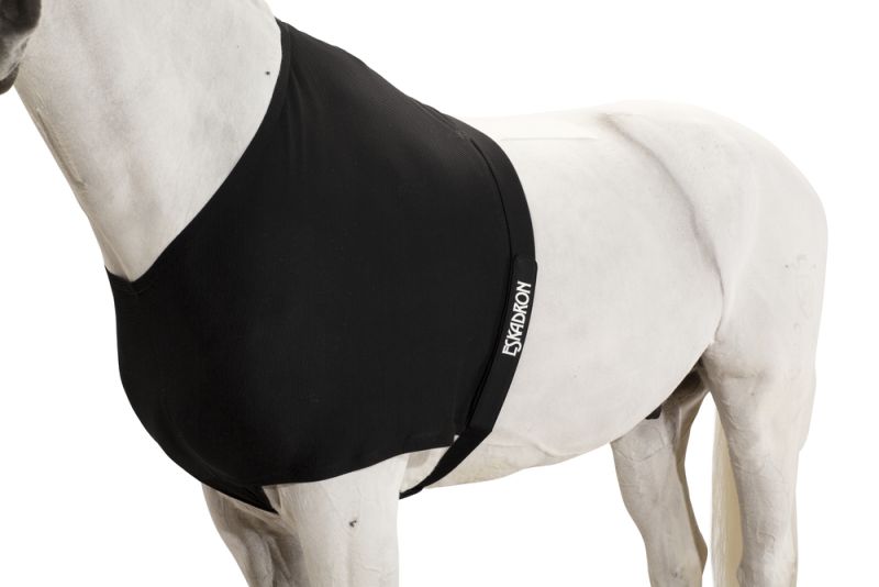 Pikeur DYNAIRMESH BRUSTSCHUTZ 50% Rabatt mit kostenlosem Versand