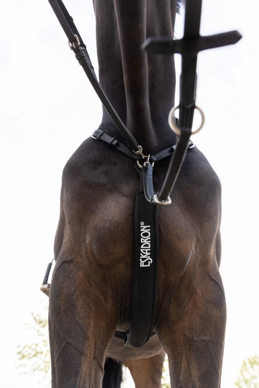 Pikeur NEOPRENE COVER Black Friday Preise