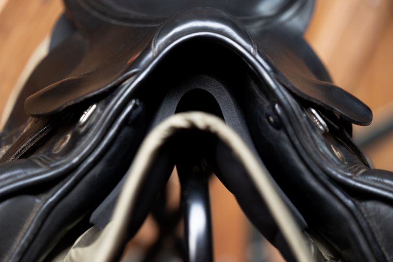 Pikeur RISE UP PAD Im Verkauf