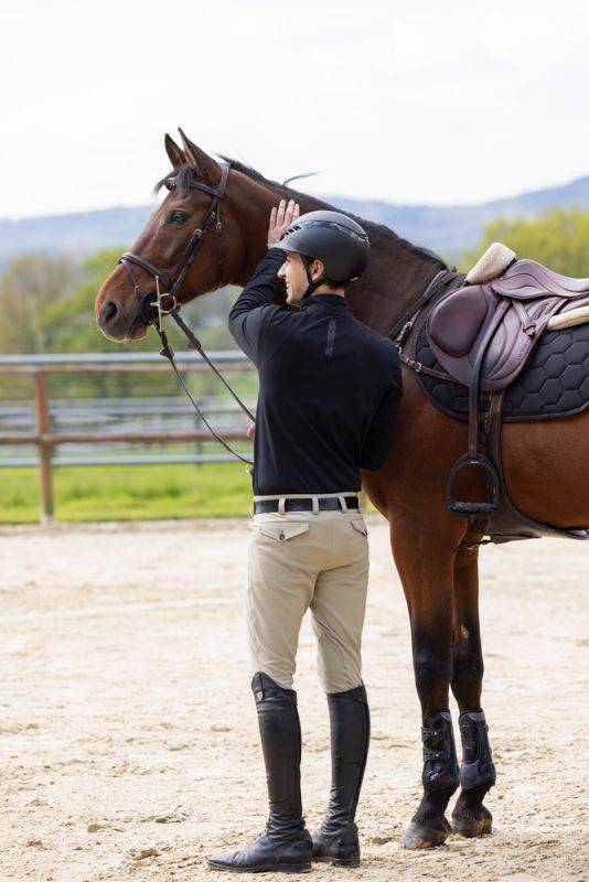 Pikeur PIKEUR RODRIGO MC KN Jubiläumsangebot