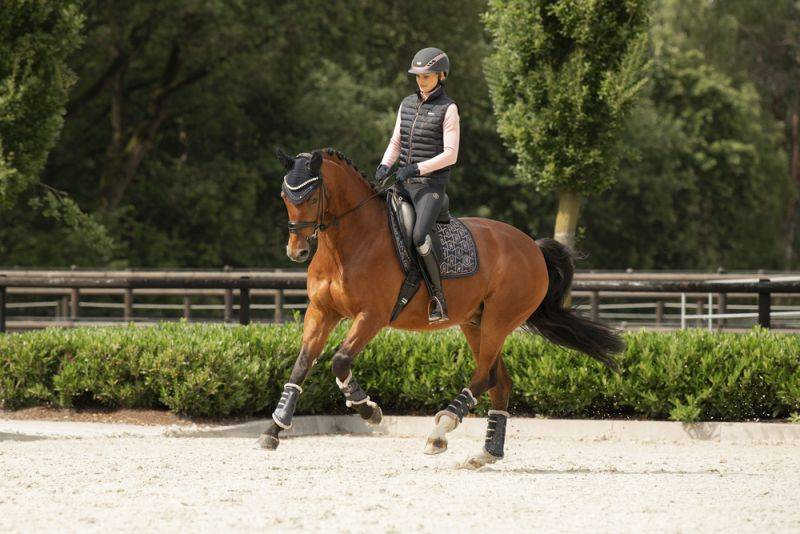 Pikeur GLOSSY HERITAGE Clearance-Verkauf