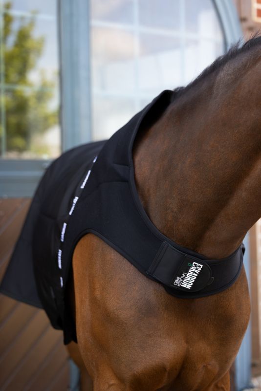 Pikeur DELTA Fleecelining Rabatte dieses Monats