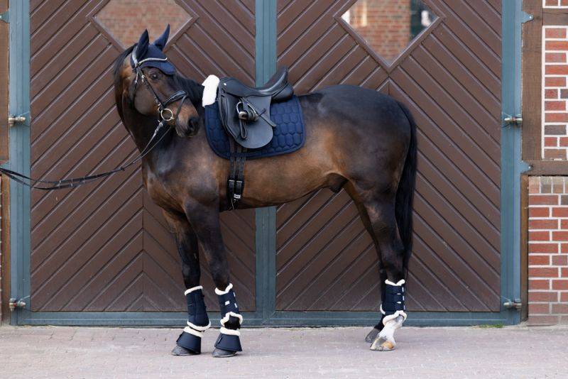 Pikeur COTTON EVO-WOOL Schlussverkauf