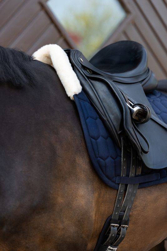Pikeur COTTON EVO-WOOL Schlussverkauf