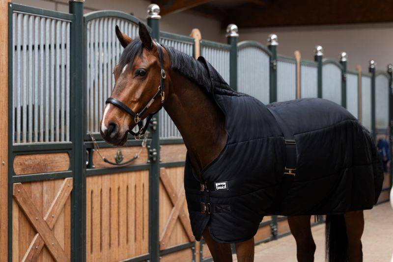 Pikeur THERMO COTTON 240 Fabrikverkauf