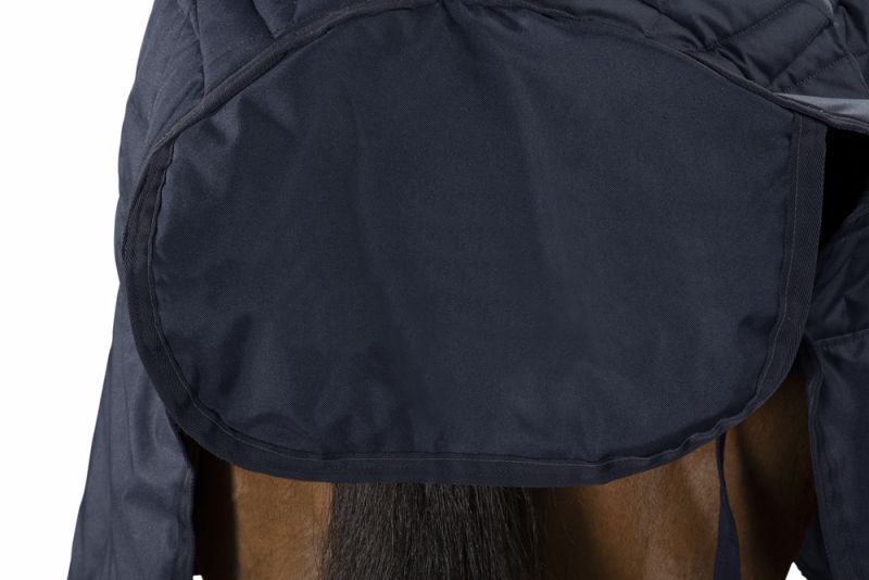 Pikeur ZETA 200 Meist gekauft