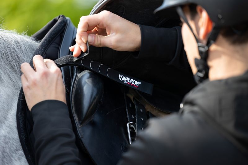 Pikeur INNO-STRAP Set Black Friday