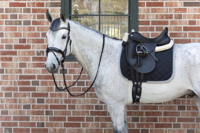 Pikeur MATRIX CONTRAST Weihnachtsangebot