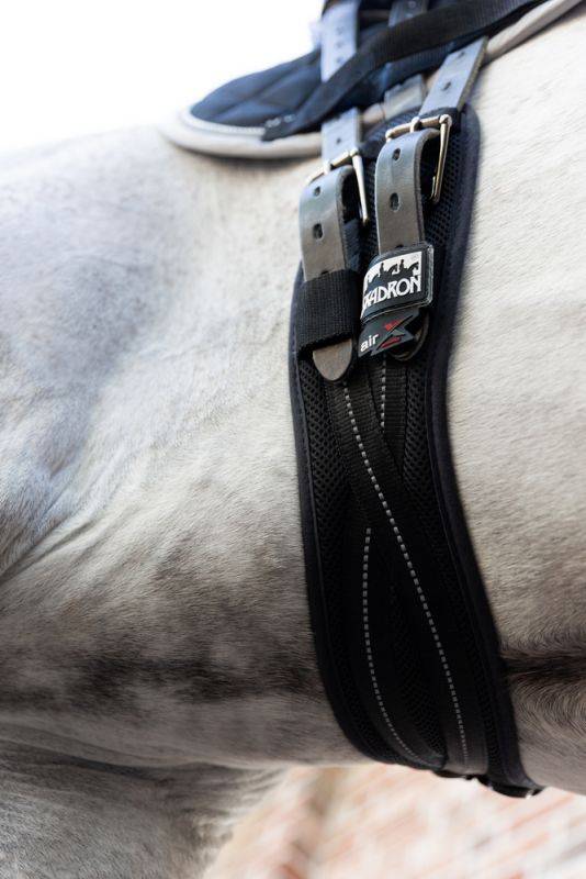 Pikeur MESH DRESSAGE Osterangebot