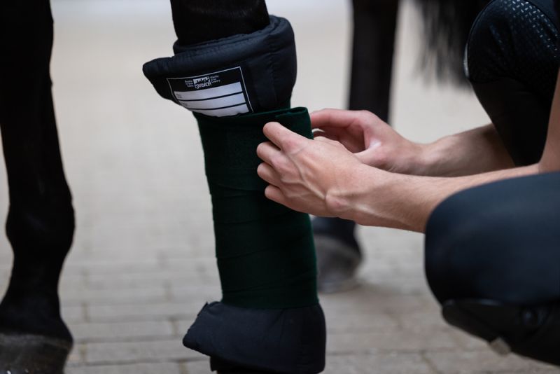 Pikeur MICRO PADS Vatertagsangebot