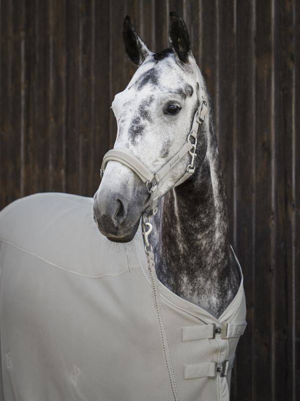 Pikeur MESH Valentinstagsangebot