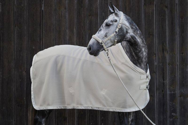 Pikeur MESH Valentinstagsangebot