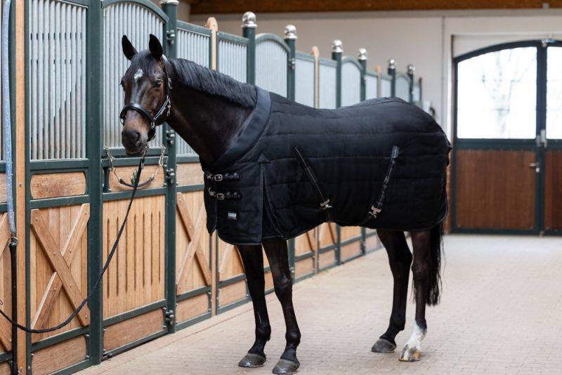 Pikeur SIGMA STABLE 100 Top Angebot