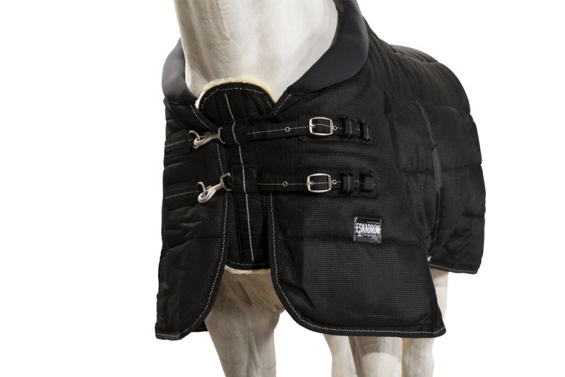 Pikeur SIGMA STABLE 100 Top Angebot
