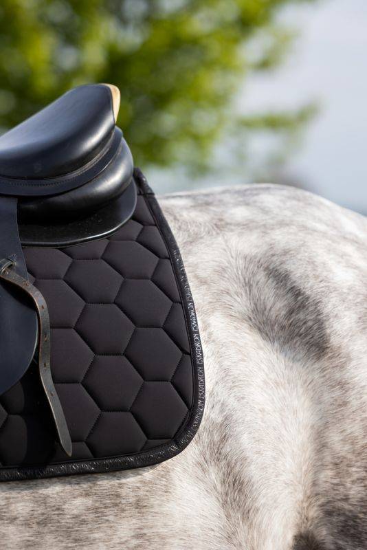 Pikeur Softshell Exklusive Angebote