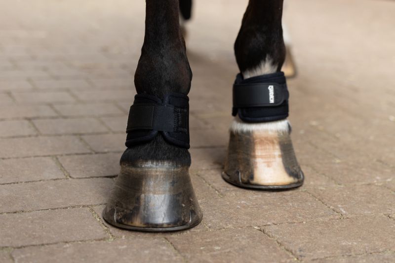 Pikeur NEO Bestseller