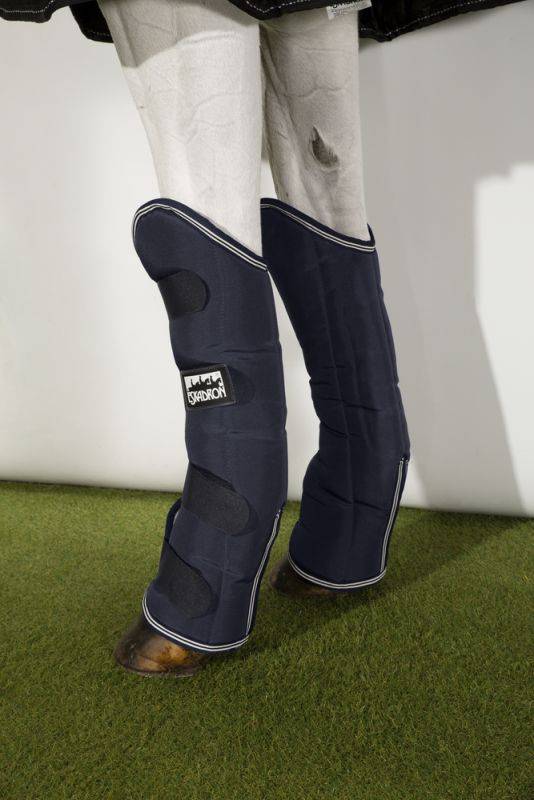 Pikeur PRO TRAVELLER F Sonderangebote