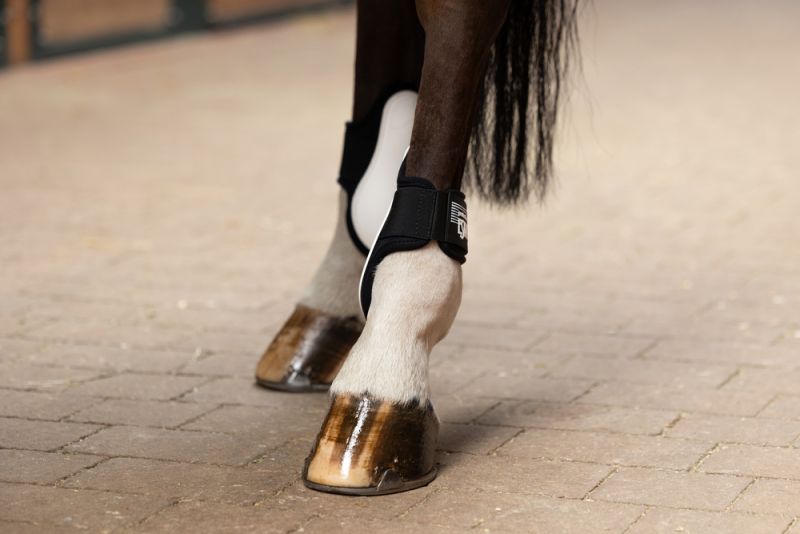 Pikeur PROTECTION ELASTIC H Wochenangebot