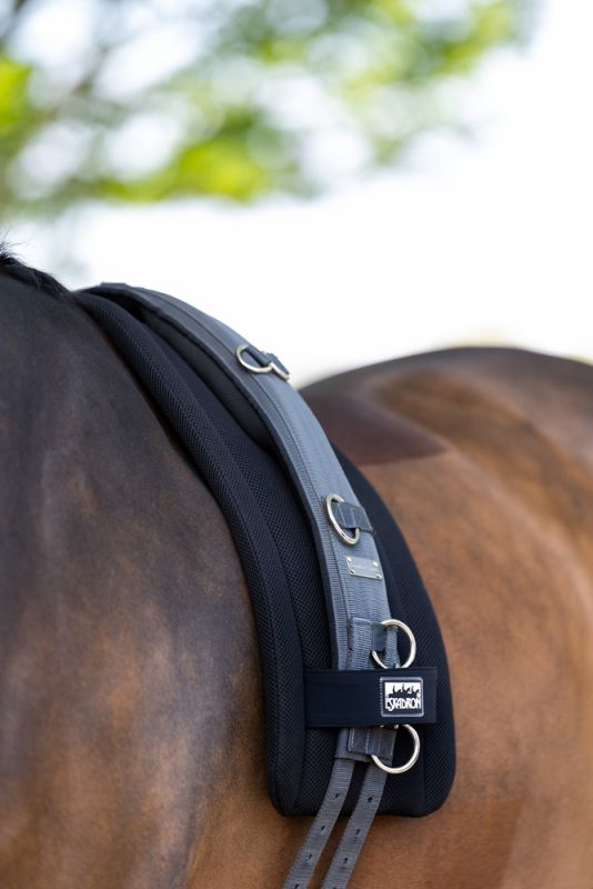 Pikeur PAD MESH Bis zu 50% Rabatt