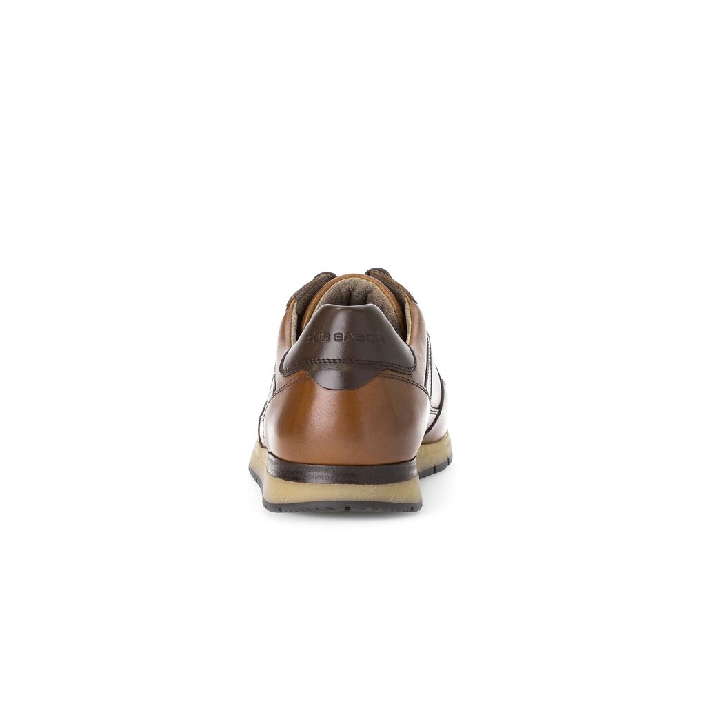 Pius Gabor Pius Gabor Sneaker low braun Kauf eins, bekomm eins gratis