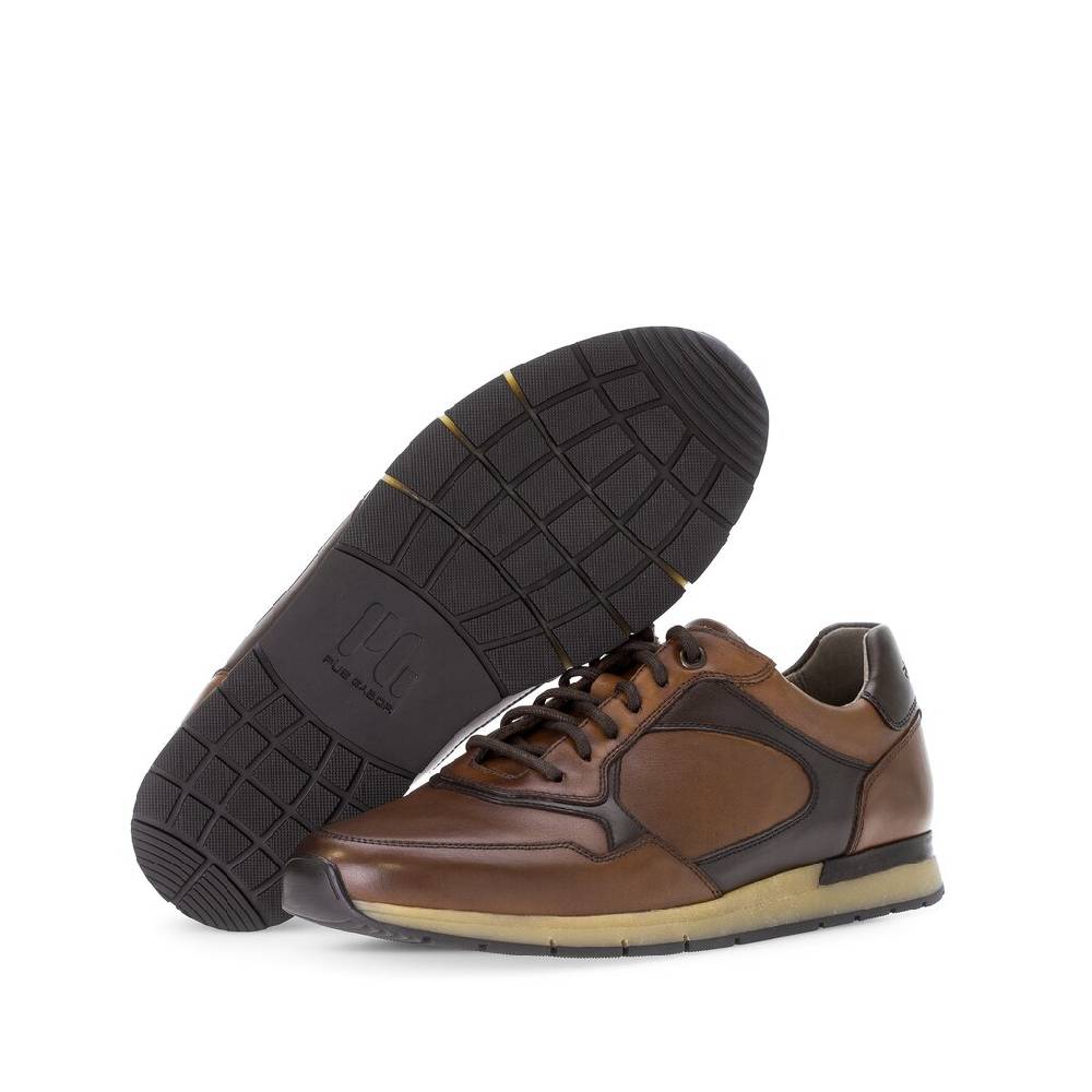 Pius Gabor Pius Gabor Sneaker low braun Kauf eins, bekomm eins gratis