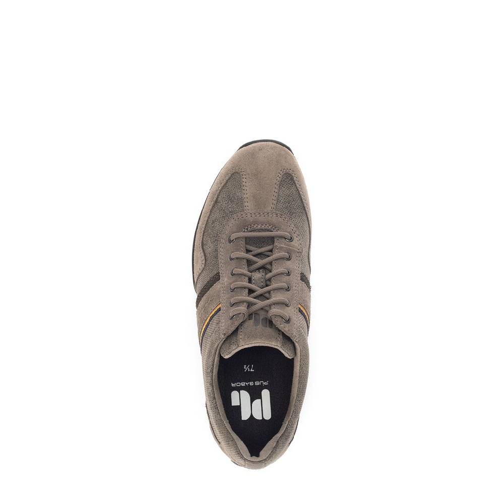 Pius Gabor Pius Gabor Sneaker low braun Kostenloser Versand