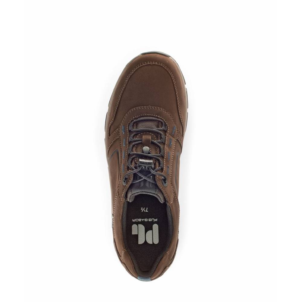 Pius Gabor Pius Gabor Sneaker low braun 50% Rabatt mit kostenlosem Versand