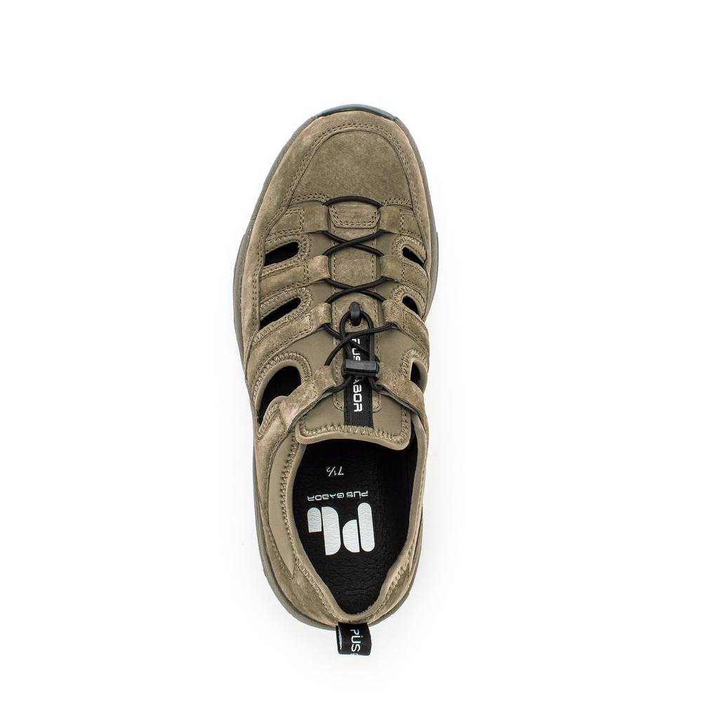 Pius Gabor Pius Gabor Sneaker low beige Auslauf