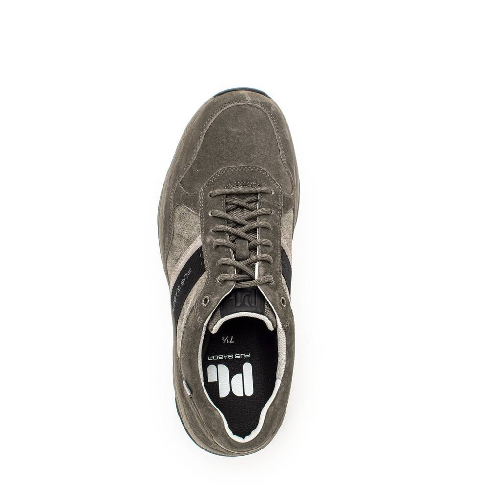 Pius Gabor Pius Gabor Sneaker low grau Fabrikverkauf