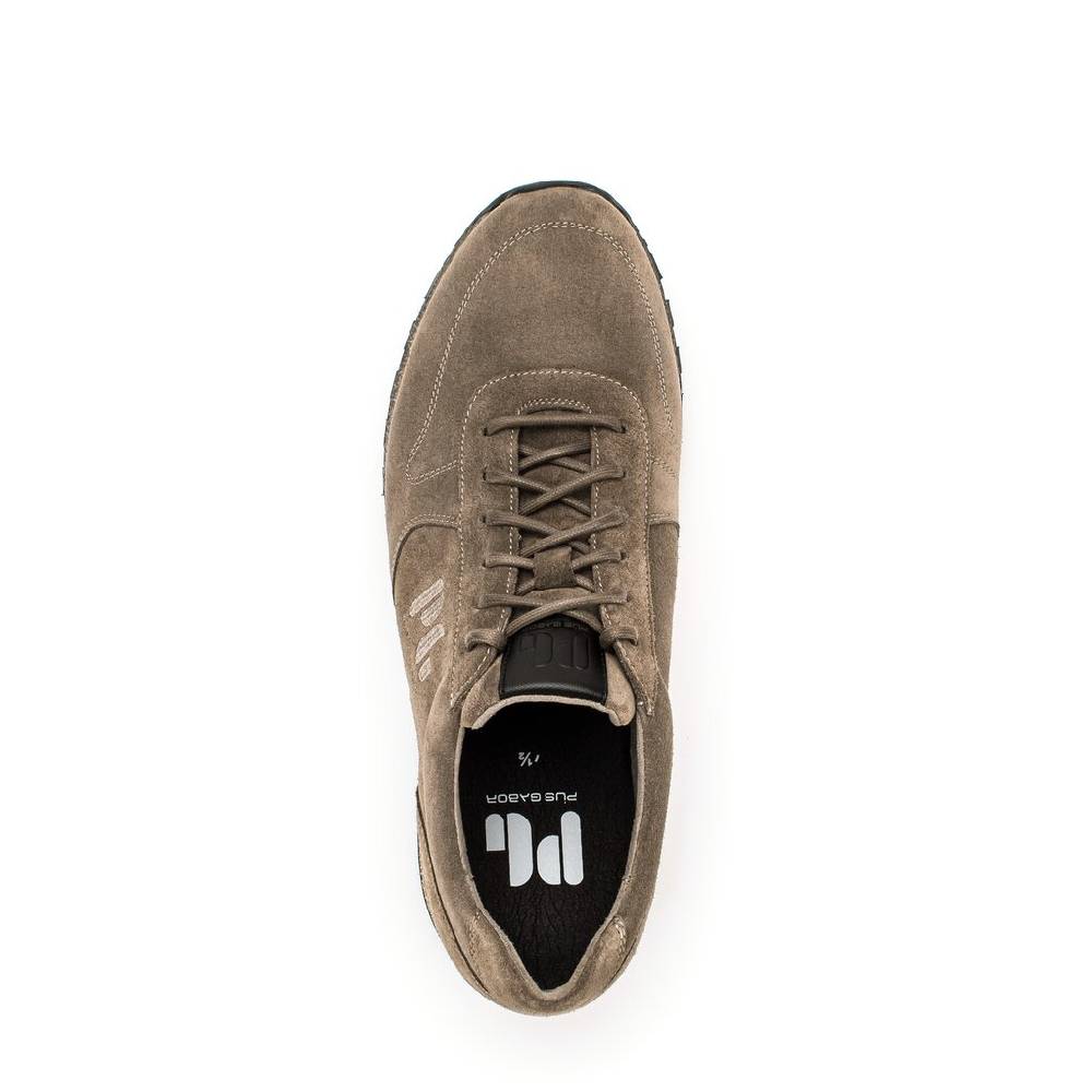 Pius Gabor Pius Gabor Sneaker low beige 2025