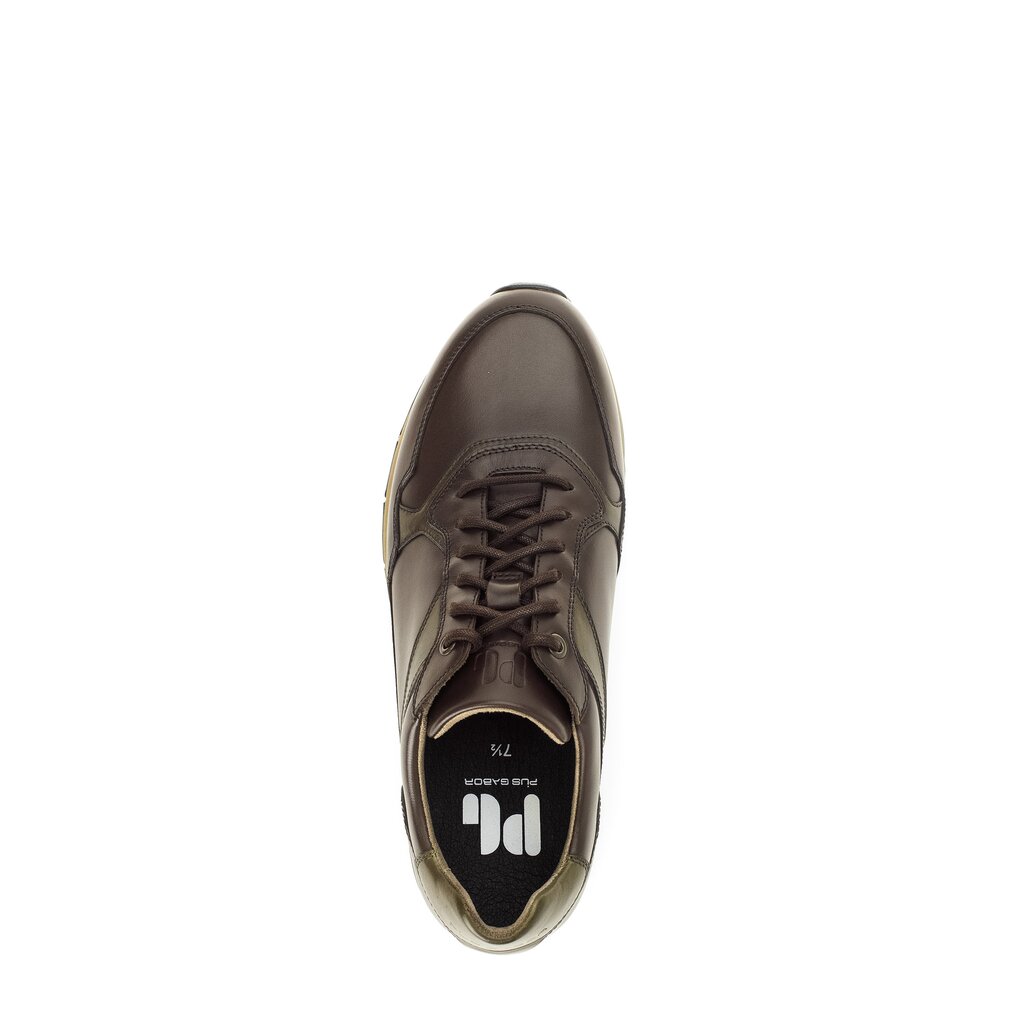 Pius Gabor Pius Gabor Sneaker low braun Fabrik Onlineshop