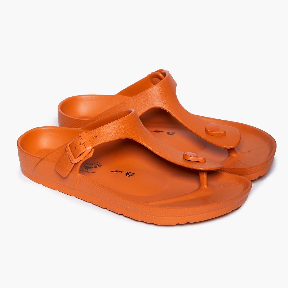 Plakton Wendy Peach Wochenangebot