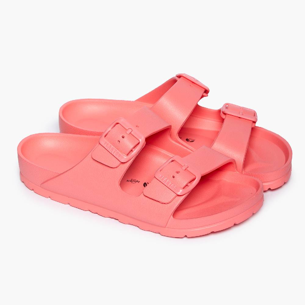 Plakton Wanda Pink Letzter Tag