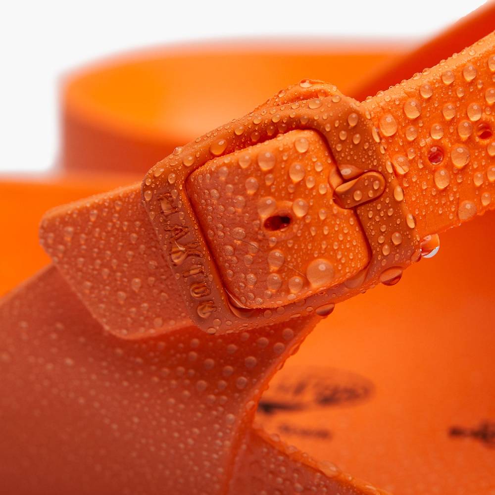 Plakton Wendy Orange Saisonale Angebote