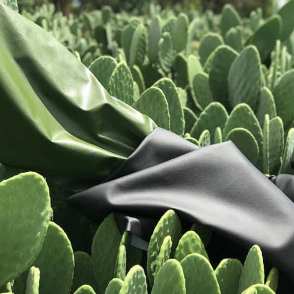 Pololo Veganer Kaktus Sneaker Schwarz Osterangebot