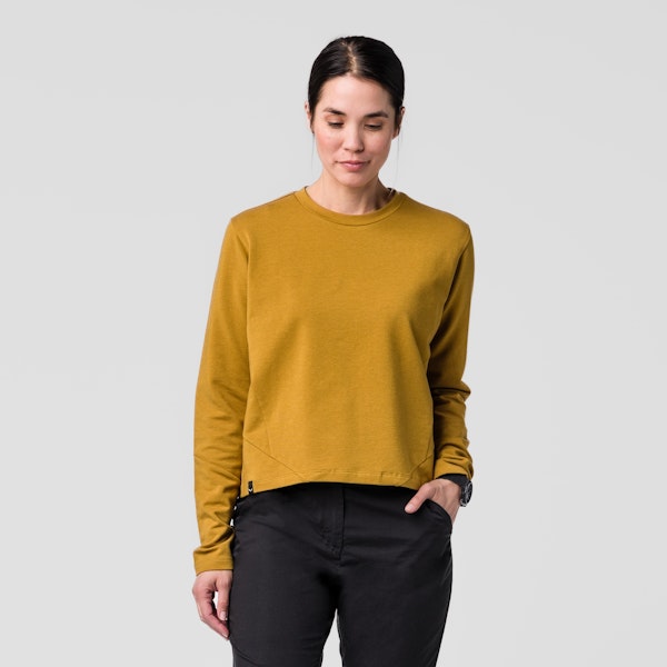 Salewa Fanes Dry'Ton Pullover Damen