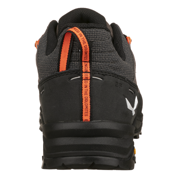 Salewa Alp Trainer 2 Schuh Herren Vierteljährliche Förderung