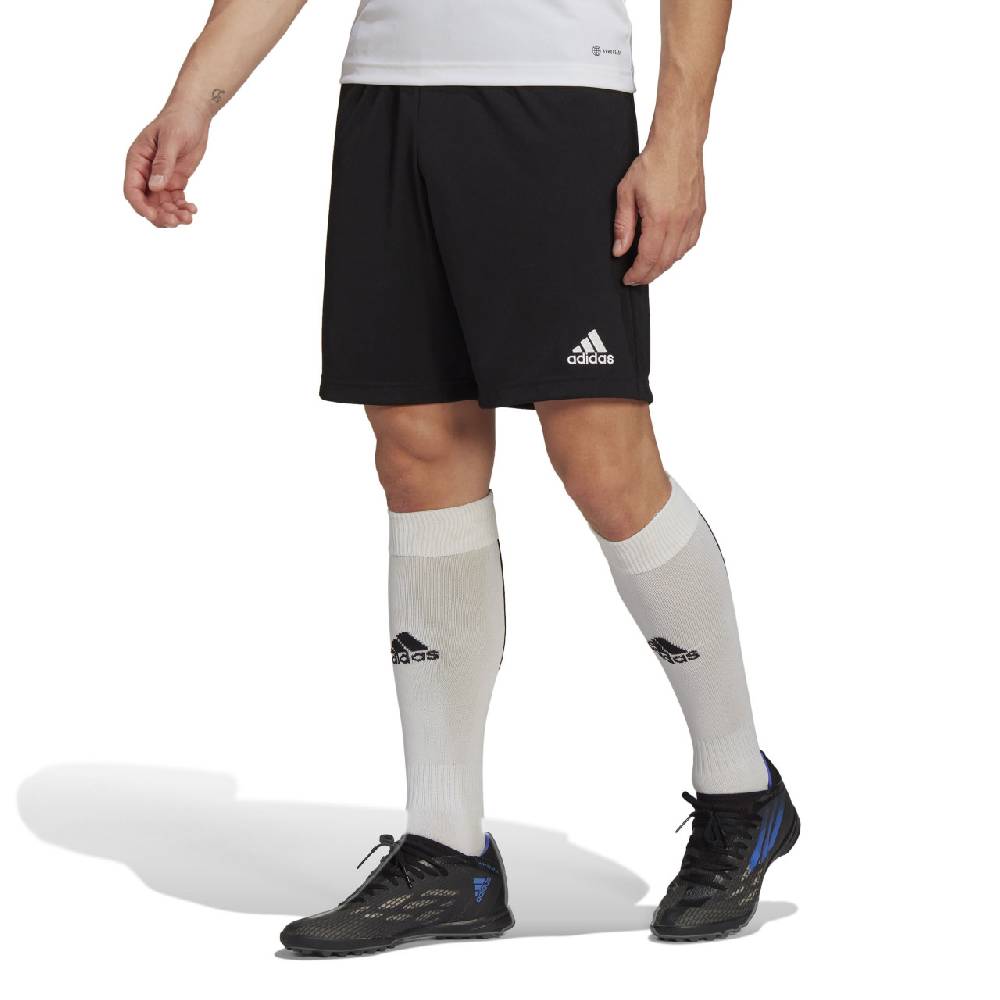 Saller adidas Entrada 22 Training Short Angebote