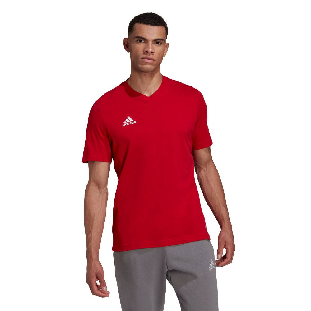 Saller adidas Entrada 22 T-Shirt Schlussverkauf
