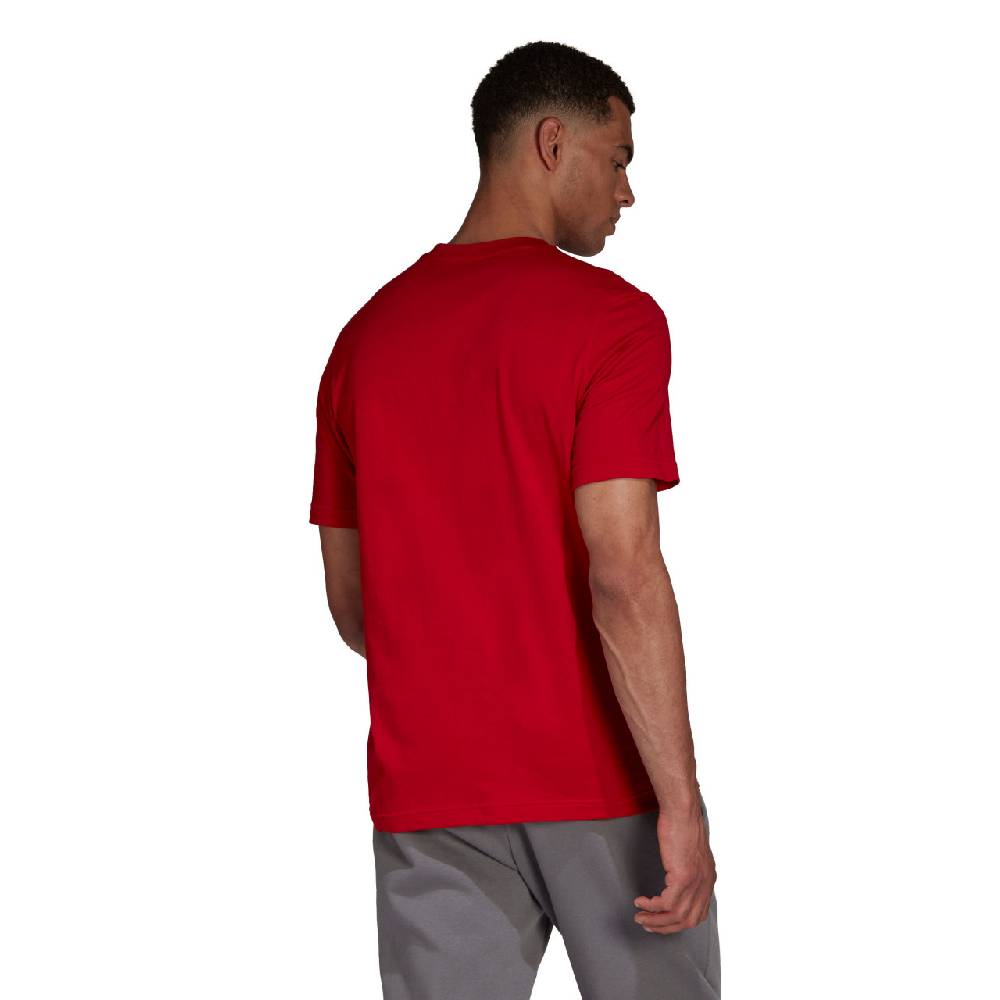 Saller adidas Entrada 22 T-Shirt Schlussverkauf