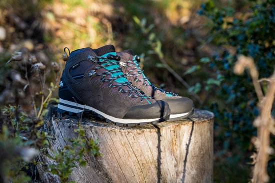 Schuhwerk Schwangau Hanwag Makra Light Lady GTX 50% Rabatt mit kostenlosem Versand