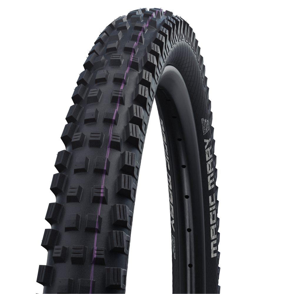 Schwalbe Magic Mary Fabrikpreis