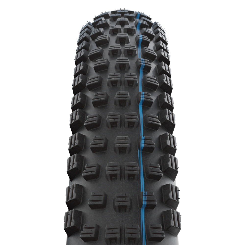 Schwalbe Wicked Will Vierteljährliche Förderung
