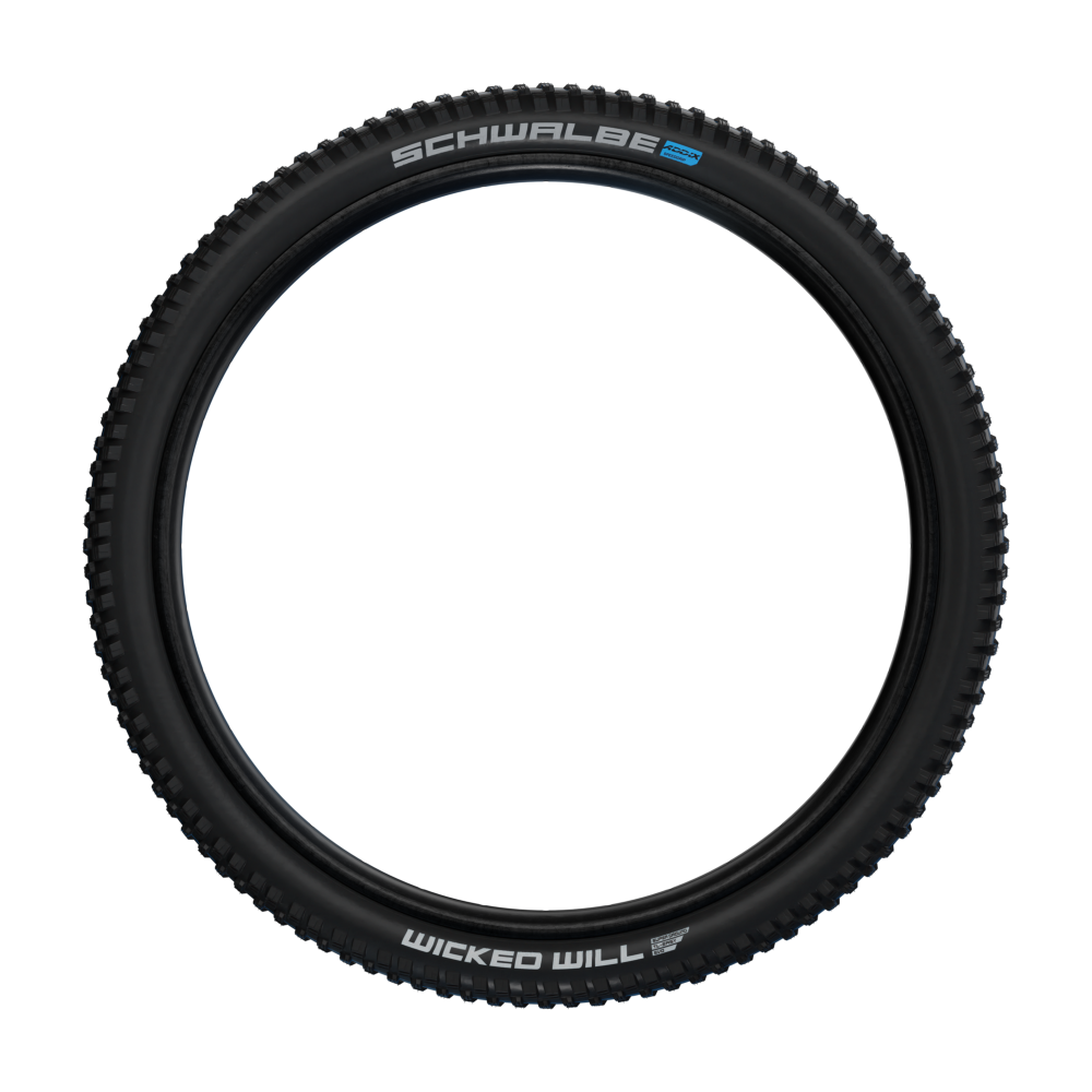 Schwalbe Wicked Will Vierteljährliche Förderung
