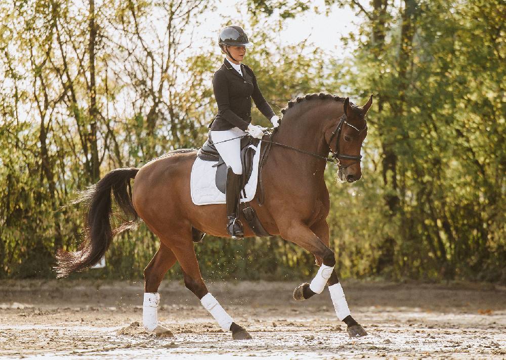 Spooks Dressage Pad Annber Blitzverkäufe