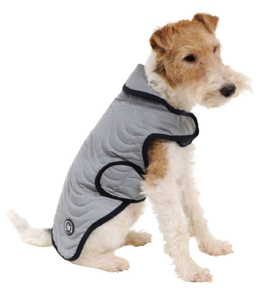 Spooks Dog Coat Reflective