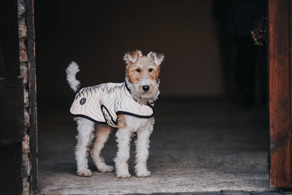 Spooks Dog Coat Reflective Limitierter Zeitrabatt