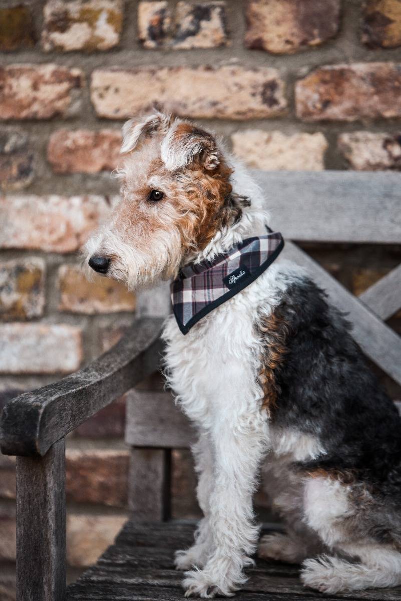 Spooks Dog Necker Chief Fabrik Onlineshop