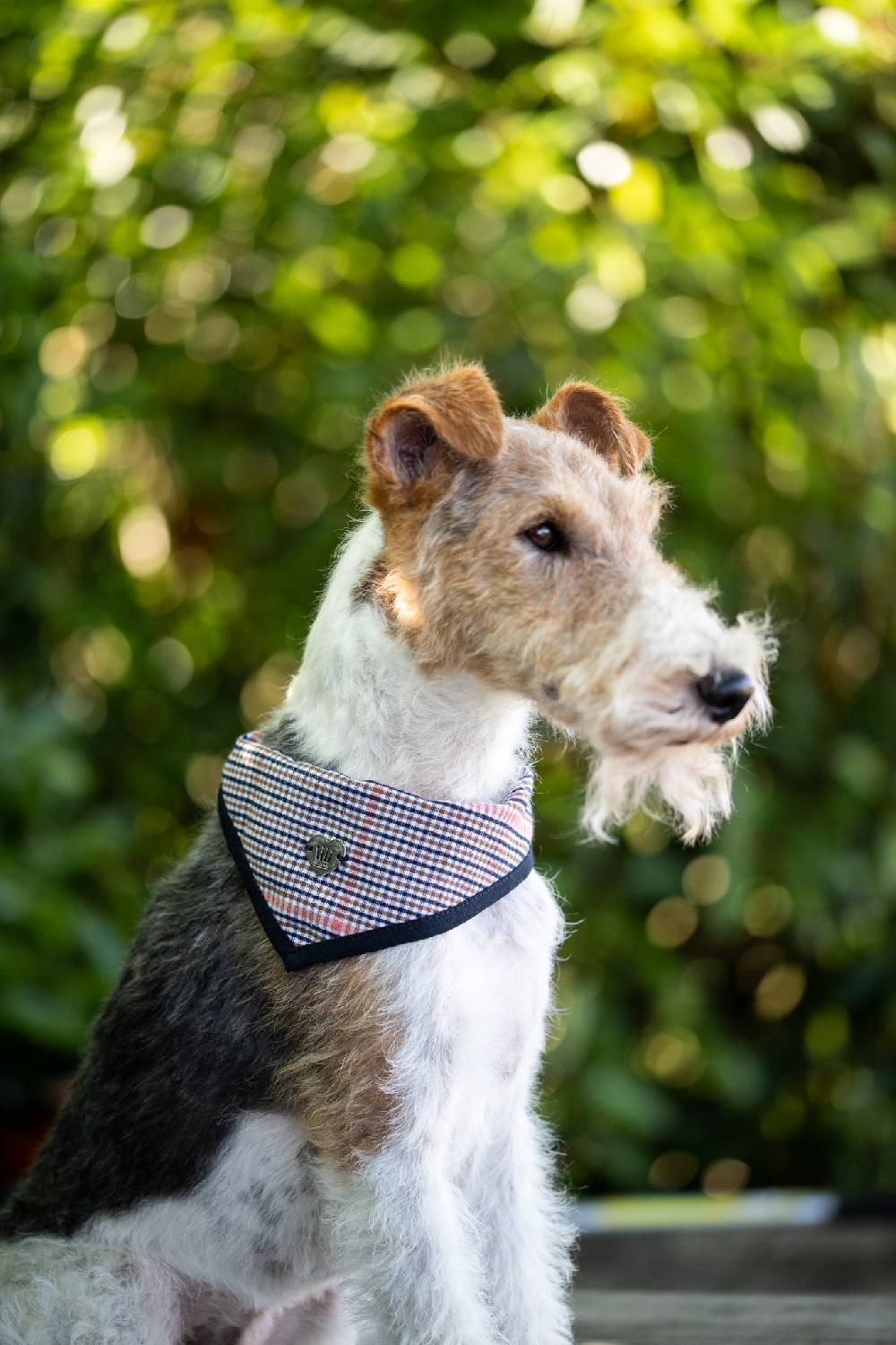Spooks Dog Bandana Pippa Rabatt